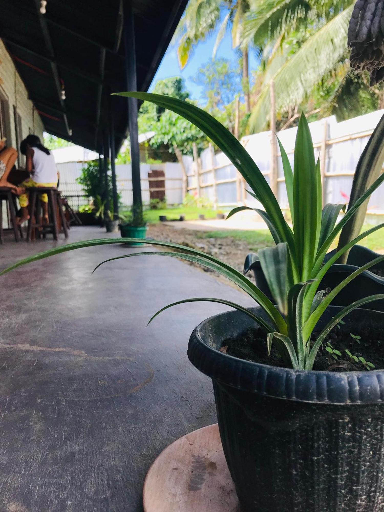 Appartamento Bai Quaba El Nido Esterno foto